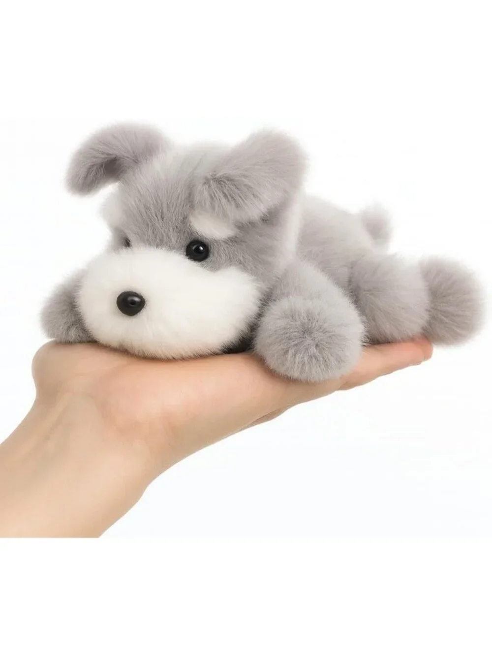 N/A cute dog